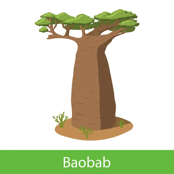Árbol de dibujos animados Baobab — Vector de stock
