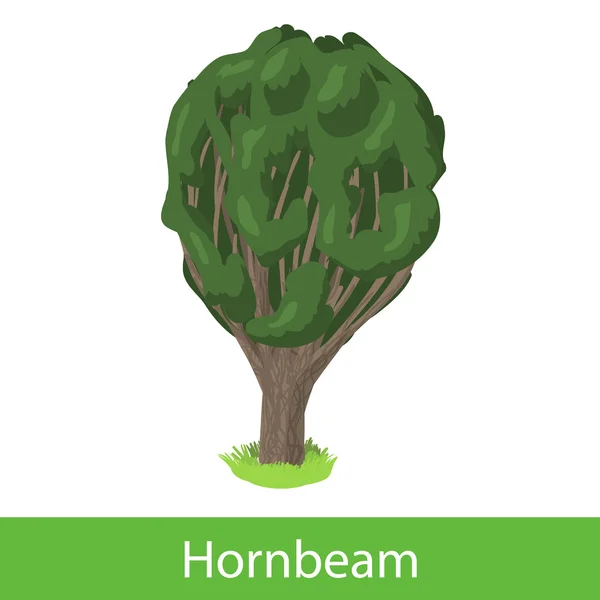 Árbol de dibujos animados Hornbeam — Vector de stock