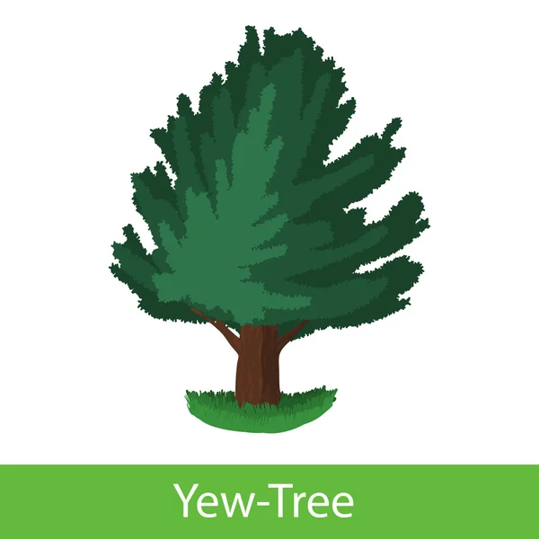 Εικονίδιο καρτούν Yew Tree — Διανυσματικό Αρχείο