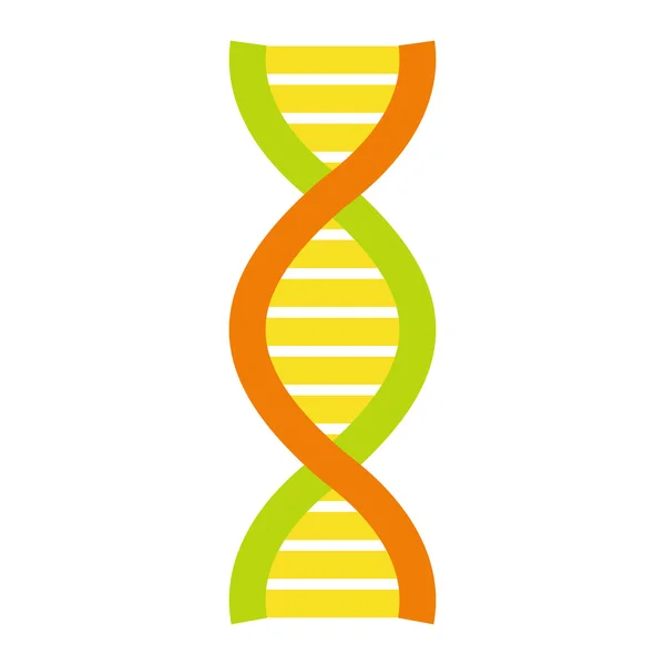 Плоска ДНК і символ молекули — стоковий вектор