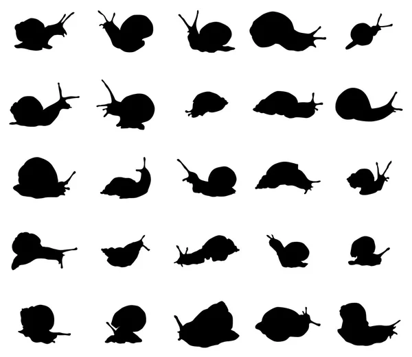 Snail silhouettes set — Stock Vector