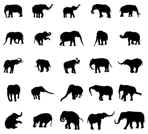 Elefánt sziluettek készlet — Stock Vector