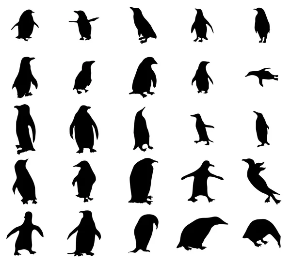 Conjunto de silhuetas de pinguim —  Vetores de Stock