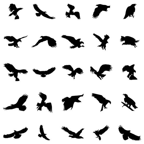 Flying birds silhouettes set — Stock Vector
