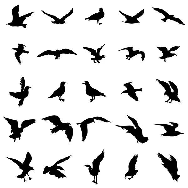 Gull silhouettes set — Stock Vector