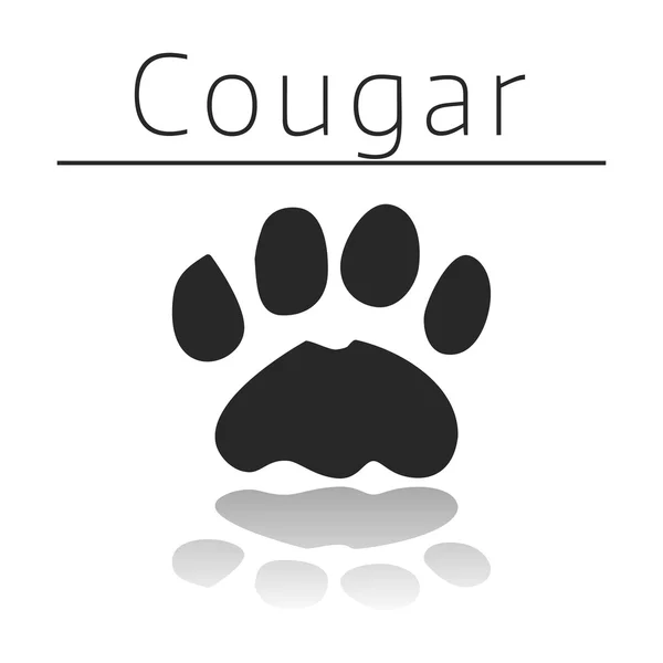 Cougar Feet