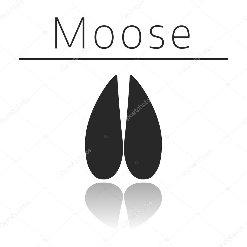 Moose animal track