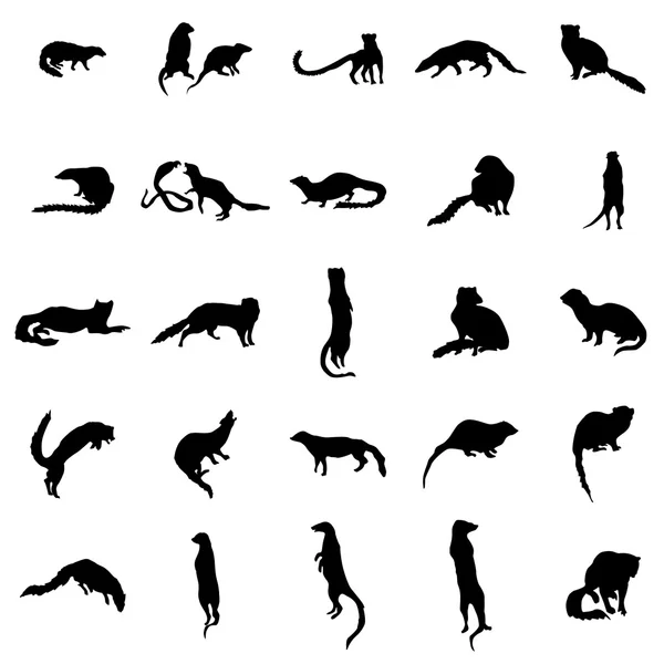 Ensemble de silhouettes Meerkat — Image vectorielle