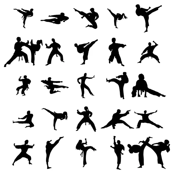 Conjunto de siluetas de karate — Vector de stock