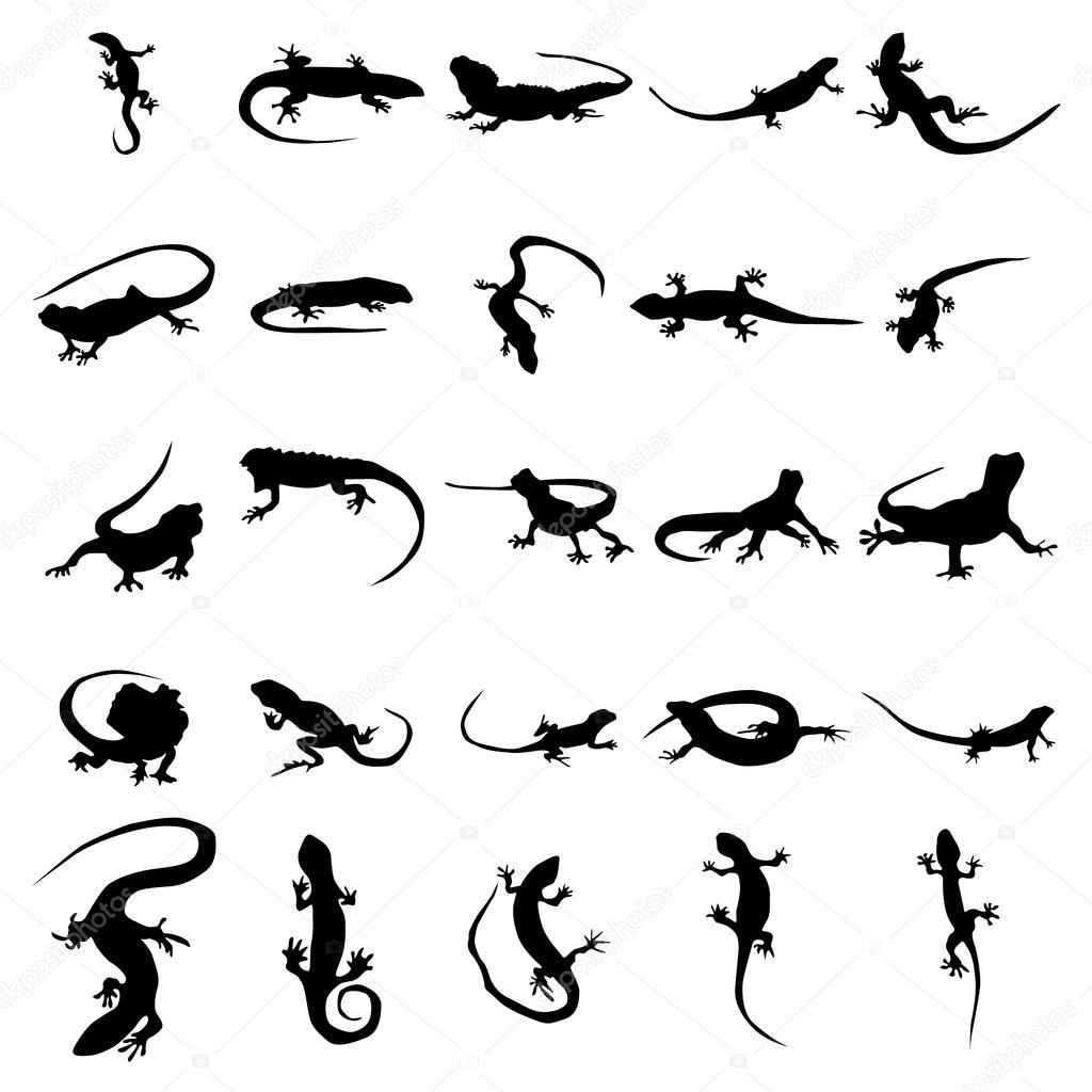 Lizards silhouettes set