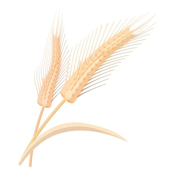 Two stalks of ripe barley cartoon icon — Stock Vector