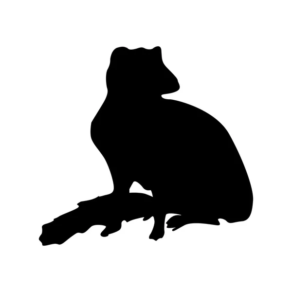 Silhouette noire Meerkat — Image vectorielle