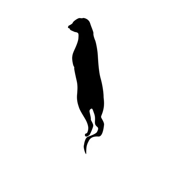 Silueta negra de suricata — Vector de stock