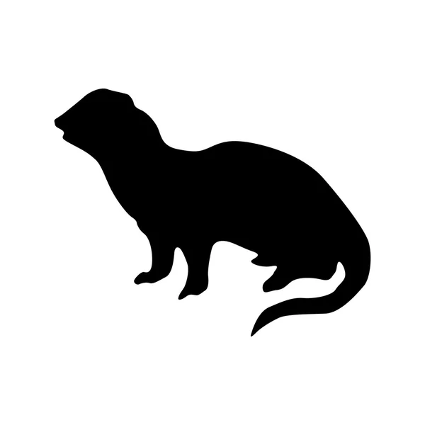 Meerkat zwart silhouet — Stockvector