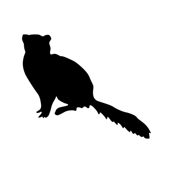 Meerkat black silhouette — Stock Vector