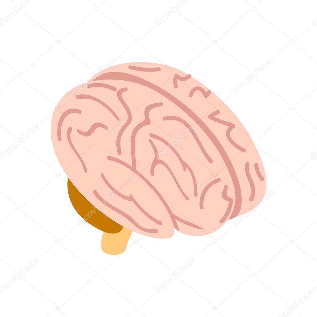 Human brain isometric 3d icon