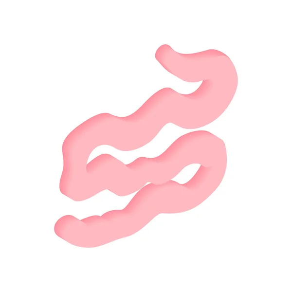 Ізометрична 3d іконка тонкого кишечника — стоковий вектор