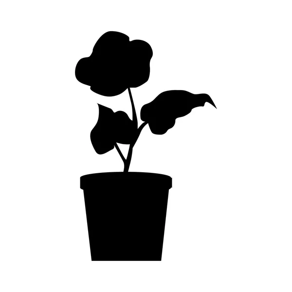 Silhouette piante in vaso — Vettoriale Stock