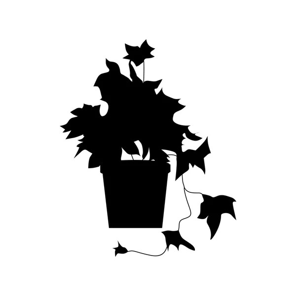 Silhouette de plantes en pot — Image vectorielle