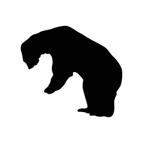 Oso silueta negra — Vector de stock