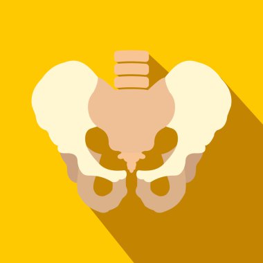 Human pelvis flat icon with shadow clipart