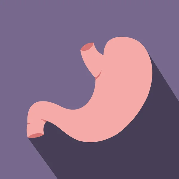 Estómago humano icono plano — Archivo Imágenes Vectoriales