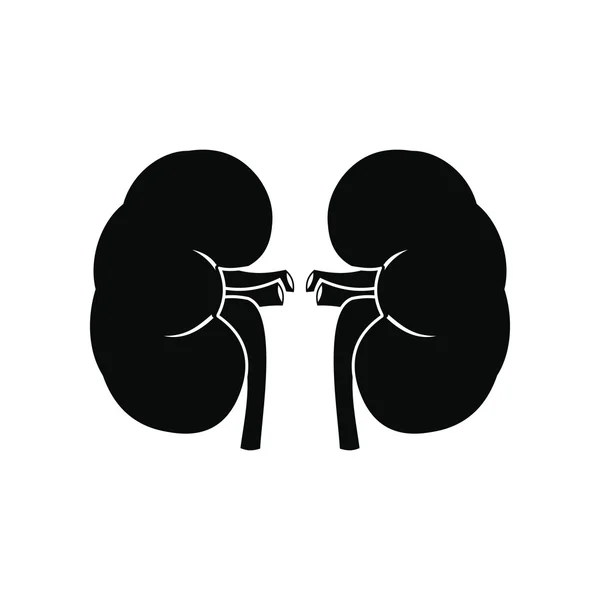 Human kidney black icon — Stock Vector