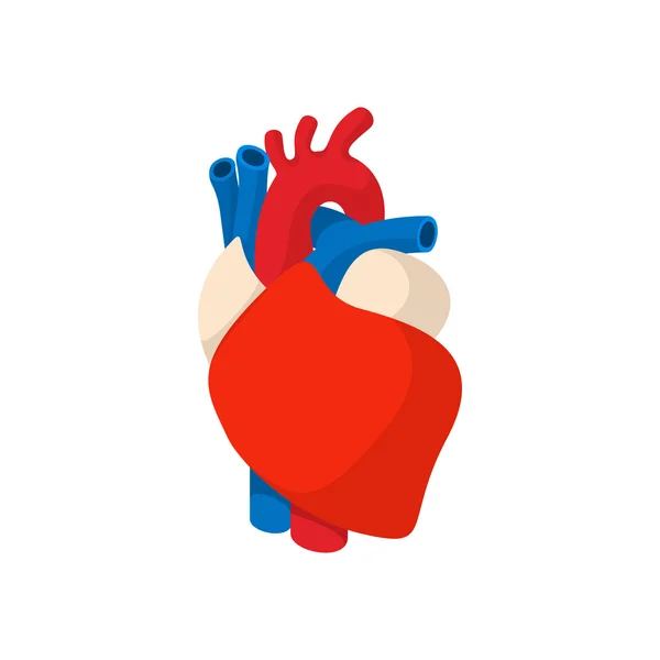 Corazón humano icono de dibujos animados — Vector de stock