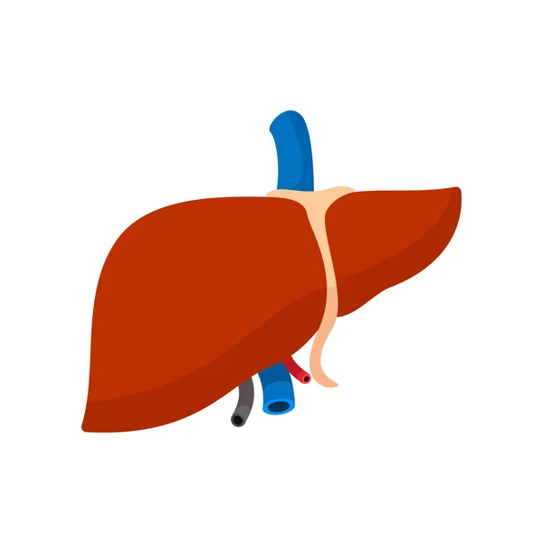 Icona del cartone animato fegato umano — Vettoriale Stock