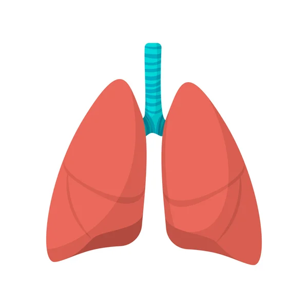 Pulmones humanos icono de dibujos animados — Archivo Imágenes Vectoriales