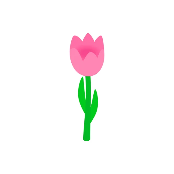 Ροζ tulip ισομετρική εικονίδιο 3d — Διανυσματικό Αρχείο