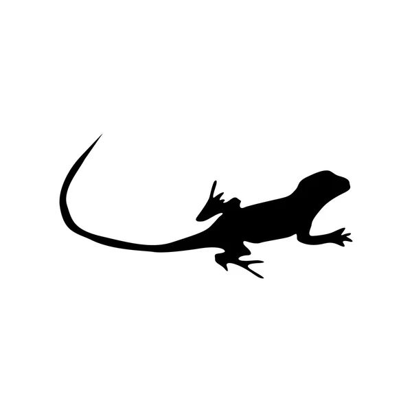 Lizard black silhouette — Stock Vector