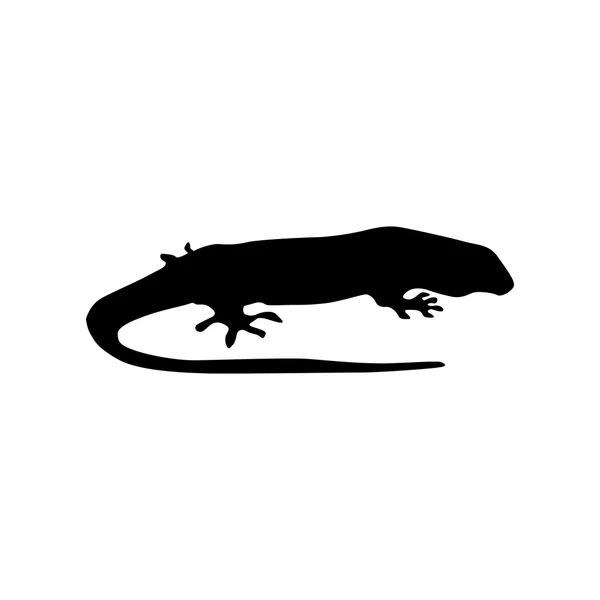 Lizard black silhouette — Stock Vector