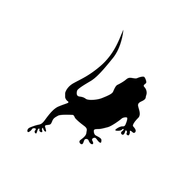 Lizard black silhouette — Stock Vector