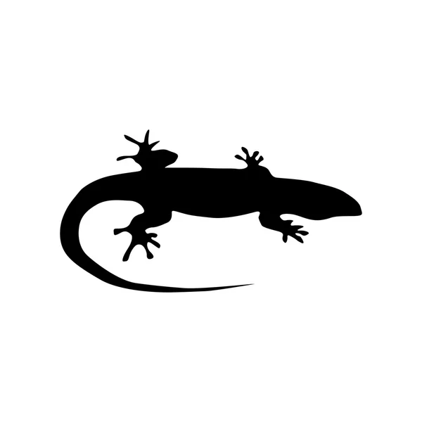 Lizard black silhouette — Stock Vector