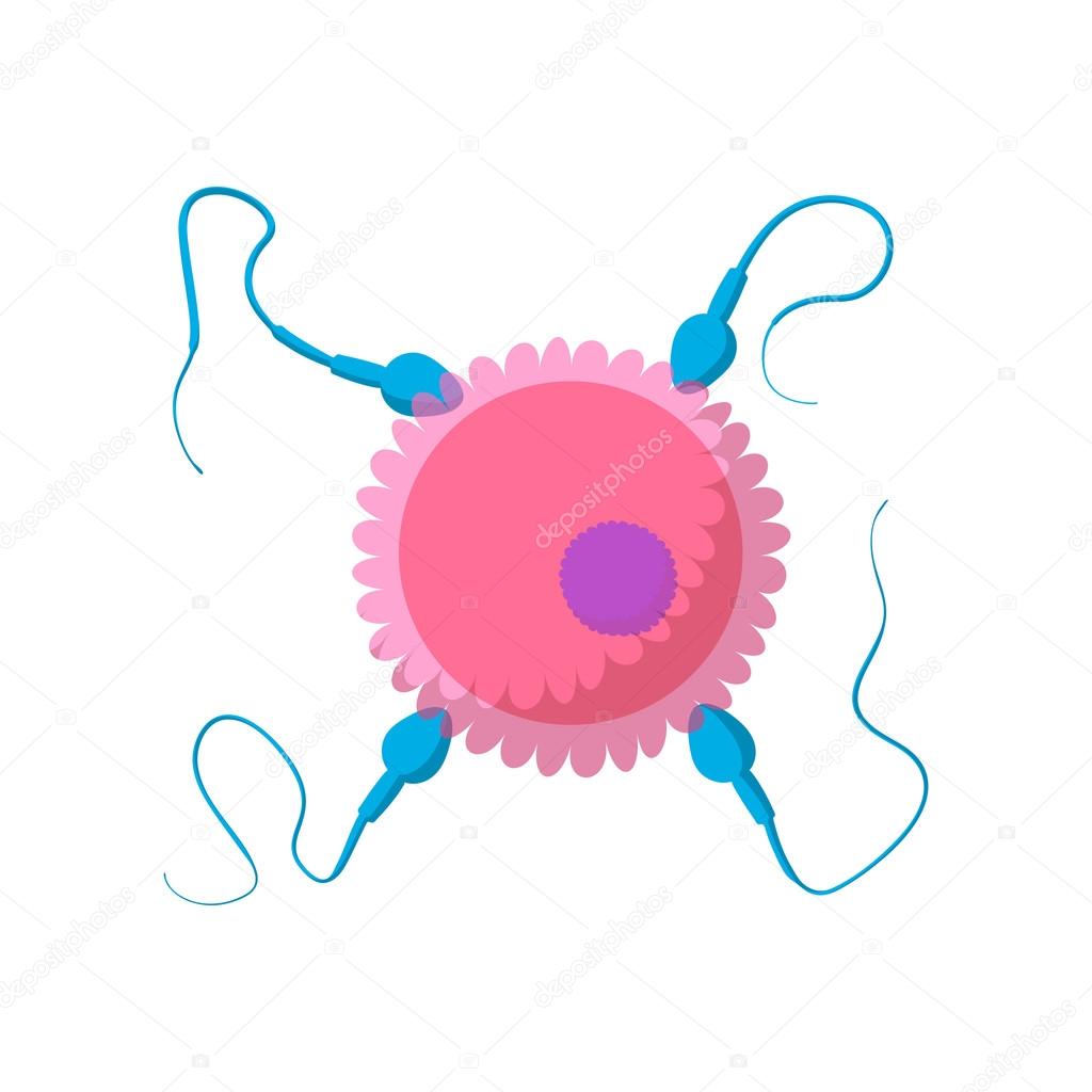 Sperm cells and human egg cartoon icon