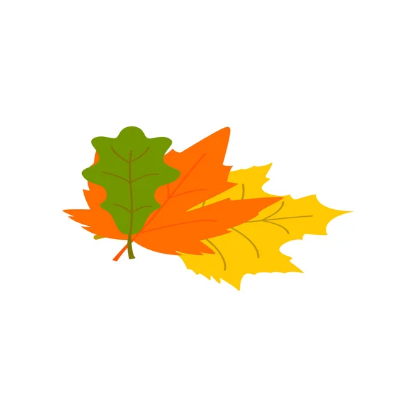 Autumn leaves isometric 3d icon — Stock Vector