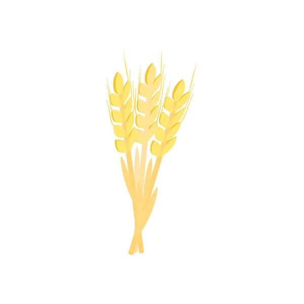 Three stalks of ripe barley isometric 3d icon — Stock Vector