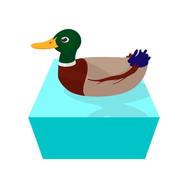 Wild duck cartoon icon — Stock Vector