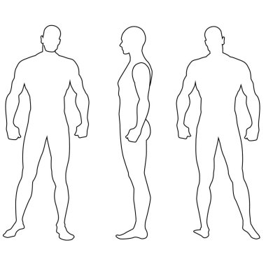 Erkek tarafının silueti, ön ve arka görüş. Vektör illüstrasyonu