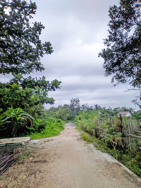 Kırsal bölgedeki toprak yolun durumu.