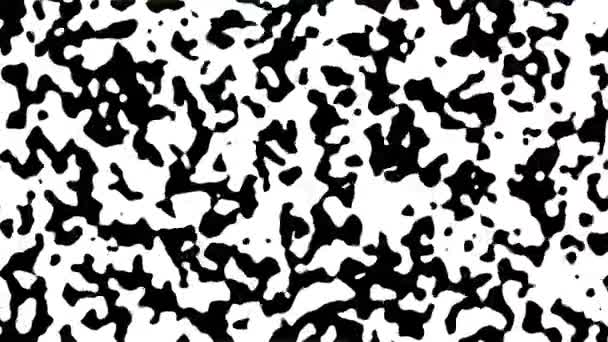 Abstract Animatie Van Zwarte Bewegende Vlekken Witte Achtergrond Minimalistische Naadloze — Stockvideo