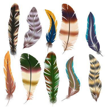 vektör tüy kümesi