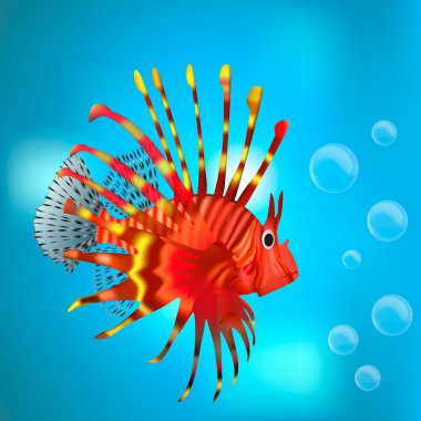 Baloncuklar arasında kırmızı balık