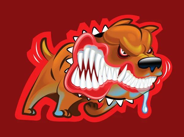 nedensiz kavga köpek