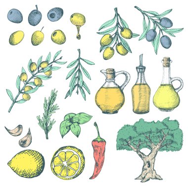 Zeytin ürünleri ans kümesi takviyeleri.