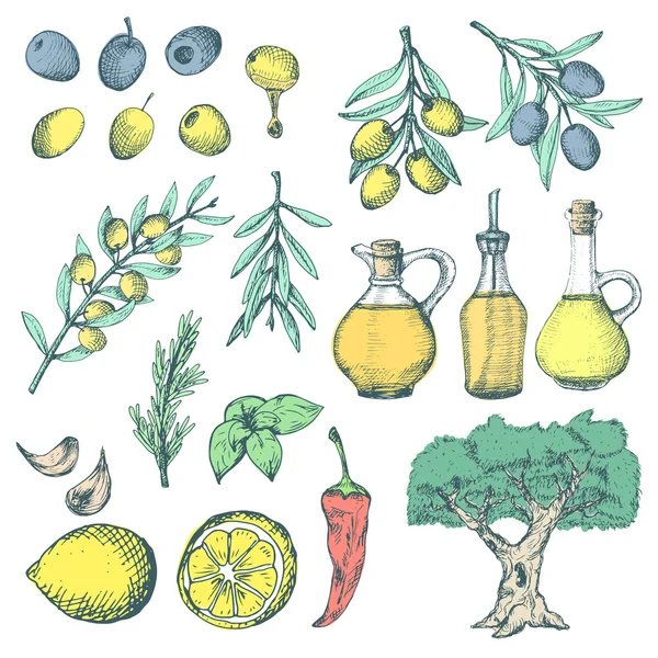 Набор оливковых продуктов и добавок . — стоковый вектор