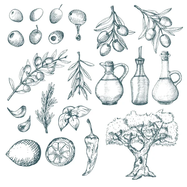 Croquis des produits et compléments d'olive . — Image vectorielle