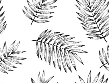 Siyah ve beyaz palmiye yaprakları klasik grafik tarzında pürüzsüz desen bırakır