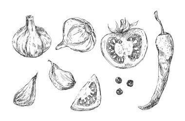 Yaz salatası, sebze ve baharatlar.